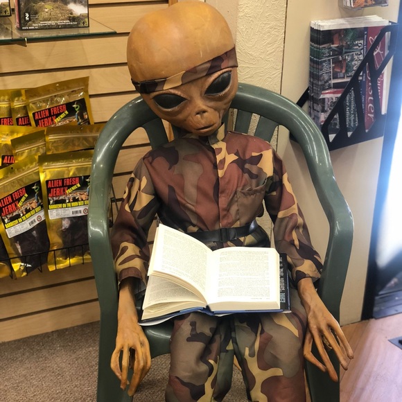 Meet your Posher, Aishia mica - Picture 1 of 1